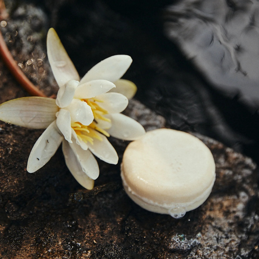 Schampo & Cleansing Bars