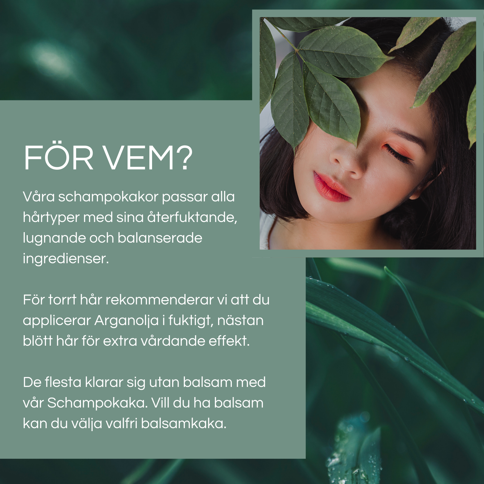 LIMITED EDITION: Schampokaka Bergamott & Neroli Nettle Shampoo - Dalarnaseko.se