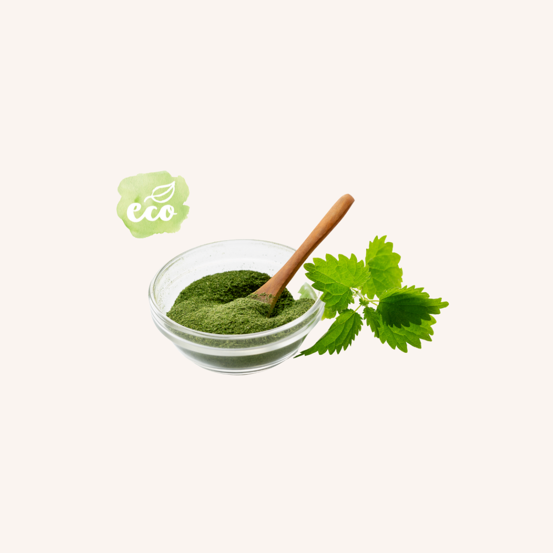 Nettle powder ECO