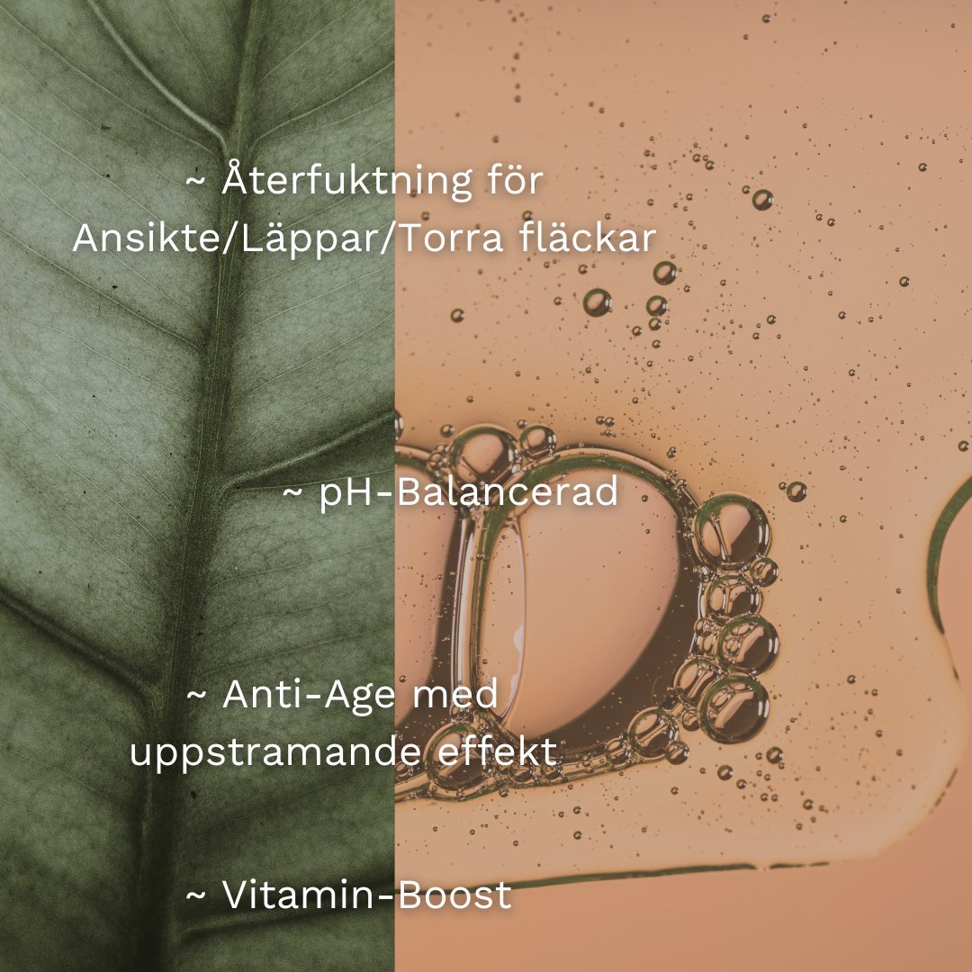 Hyaluronic Moisture + KIT - Dalarnaseko.se