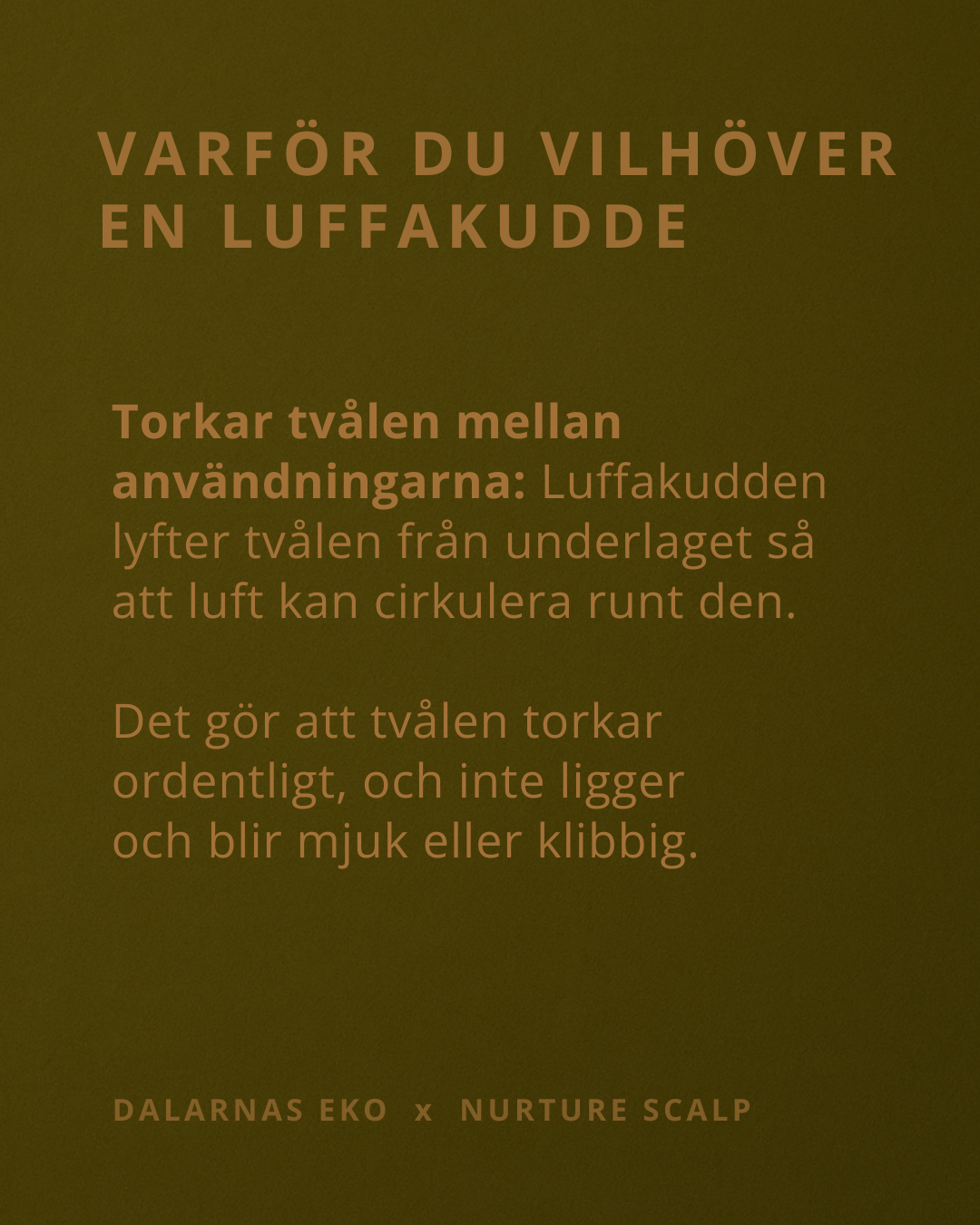 RÄDDA Luffakudde 0,5-1 cm - Naturens egna tvålfat till förvaringsdosa 150