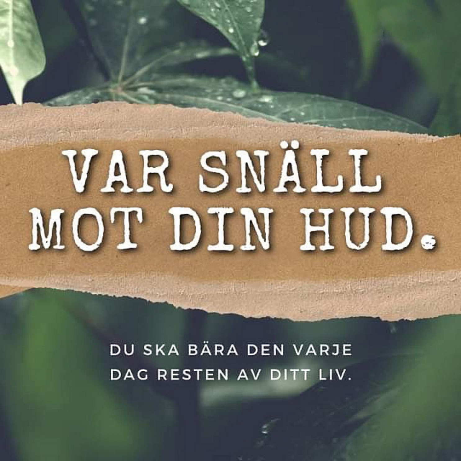 AHA Clean & Glow, ECO Facial Nattserum (tidigare Face Oil Acne Treatment) - Dalarnaseko.se