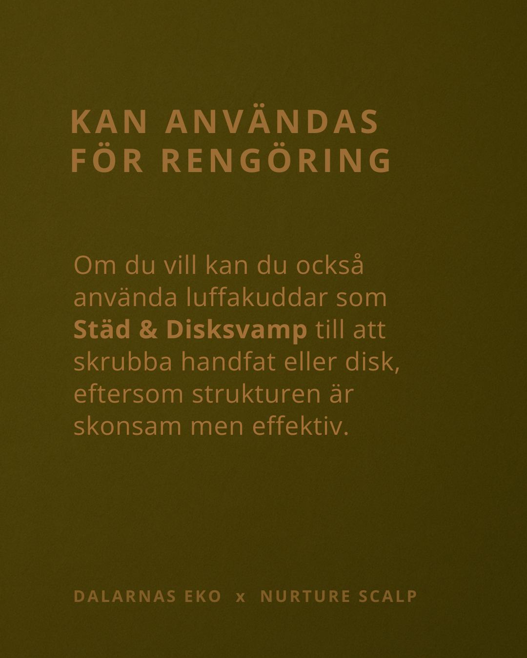 RÄDDA Luffakudde 0,5-1 cm - Naturens egna tvålfat till förvaringsdosa 150