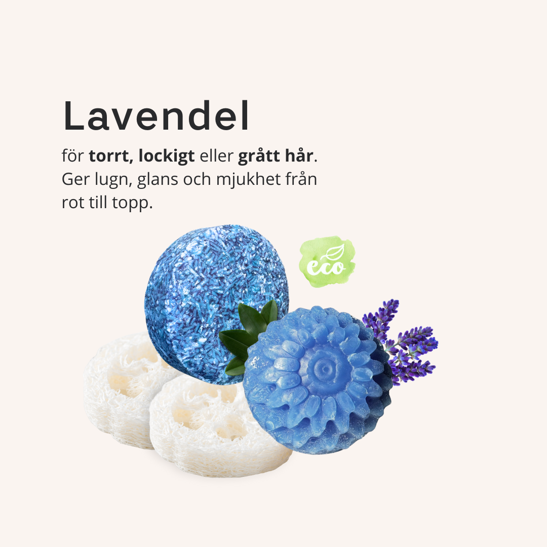 Lavender Shampoo Conditioner Dalarnas EKO