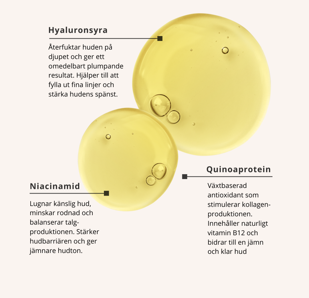 Hyaluronic acid Niacinamide Quinoa protein benefits