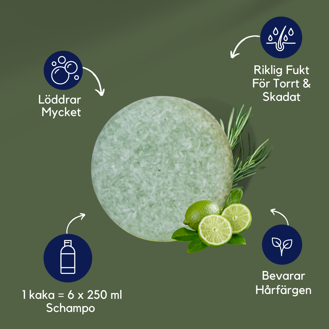 RÄDDA PRO Growth Shampoo COLOR POP