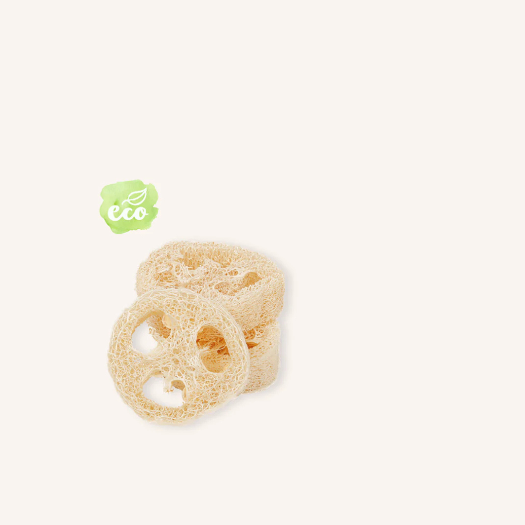 RÄDDA Luffakudde 0,5-1 cm - Naturens egna tvålfat till förvaringsdosa 150