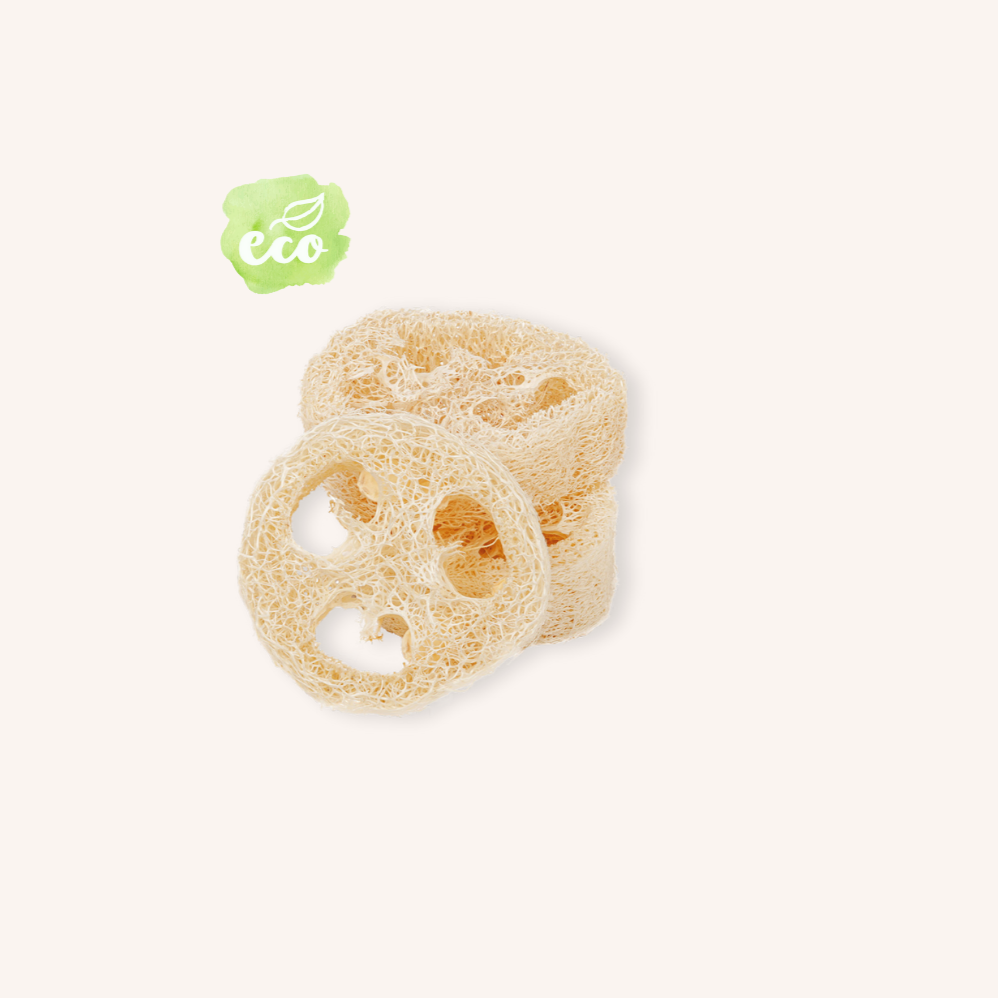 Loofah pad 1 cm - Nature's own soap dish for storage box 150