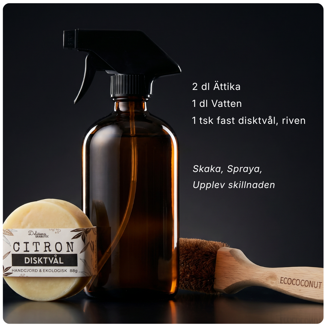 EcoCoconut - Diskborste i Kokosnötsfiber och Trä