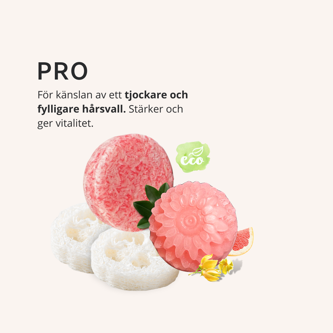 PRO Shampoo Conditioner Dalarnas EKO