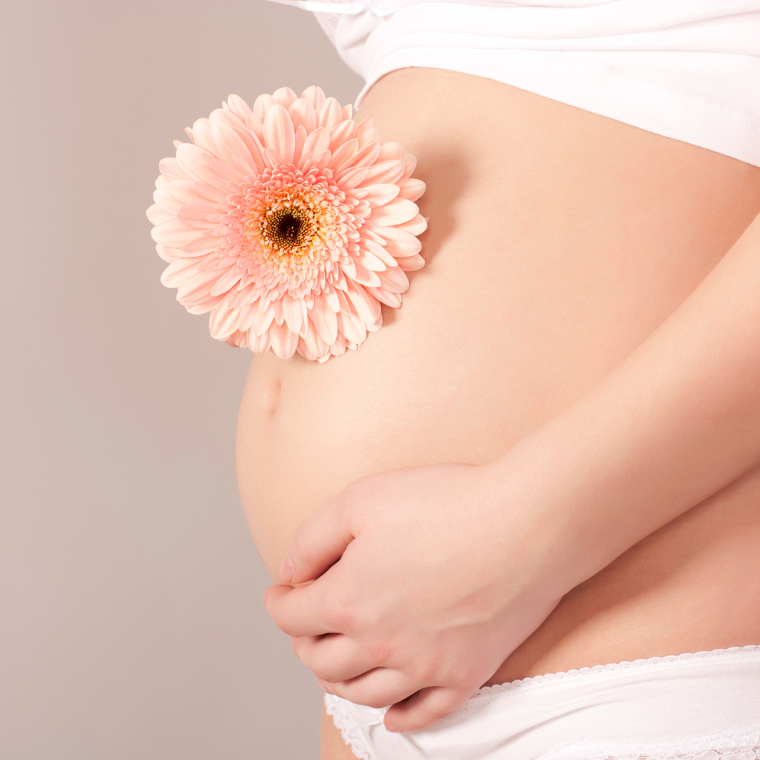 Gravid + Ammande