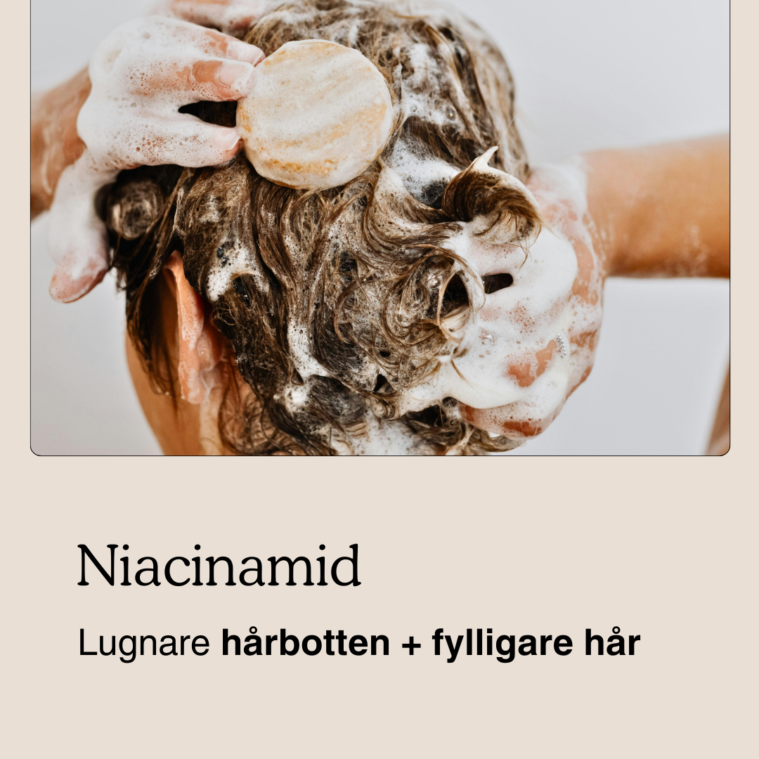 VÄXA-KIT – Schampo + Balsam + Mist (90+ dagar)