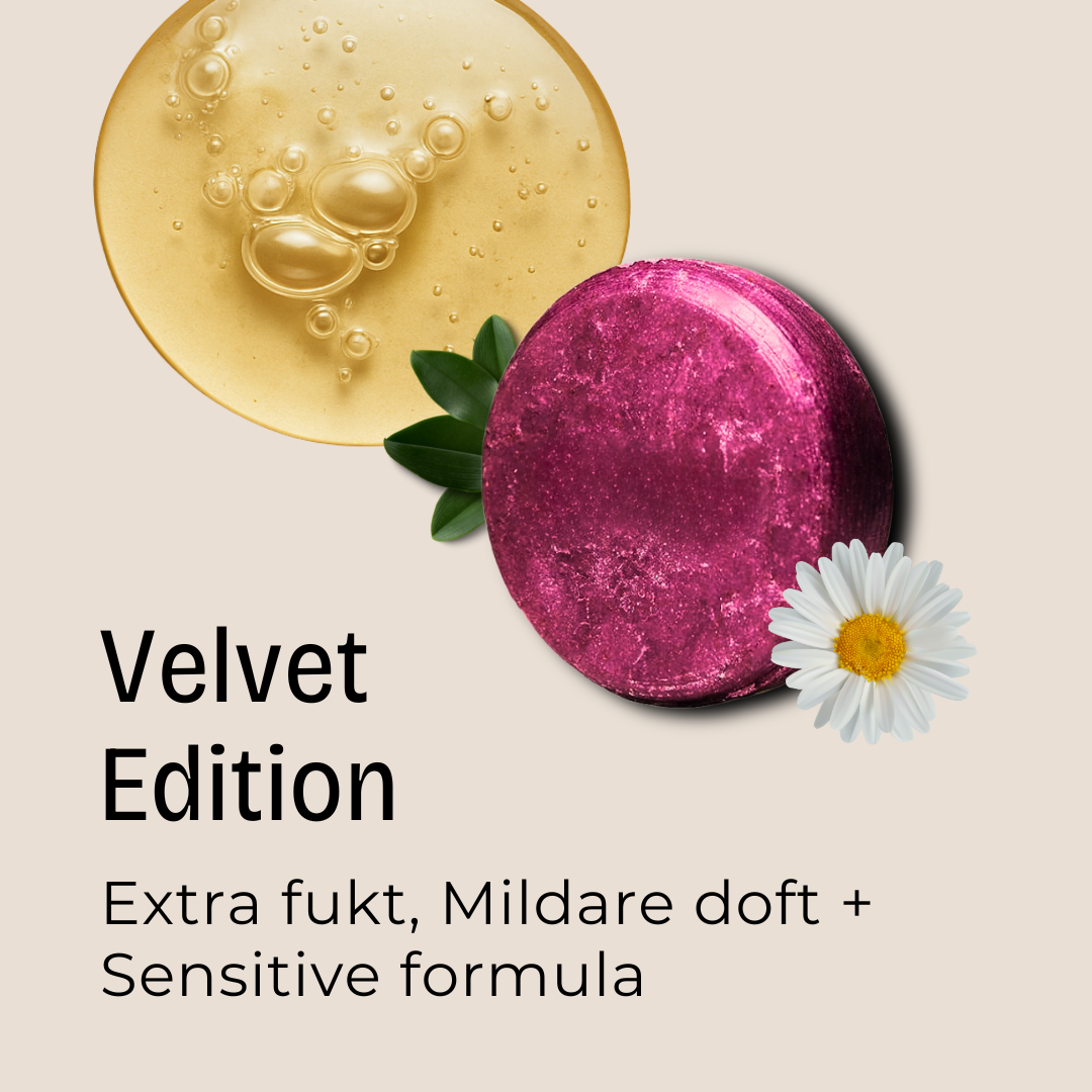 VELVET: Kamomill RESTORE Shampoo