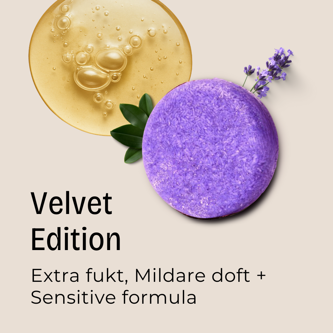 VELVET: Schampokaka Lavendel, Radical Moisture