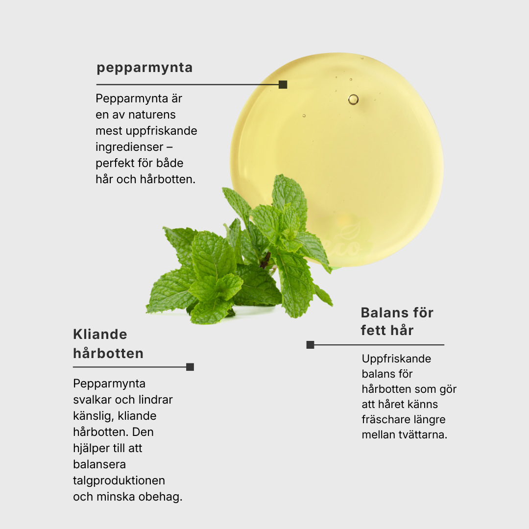 Eterisk olja Pepparmynta EKO