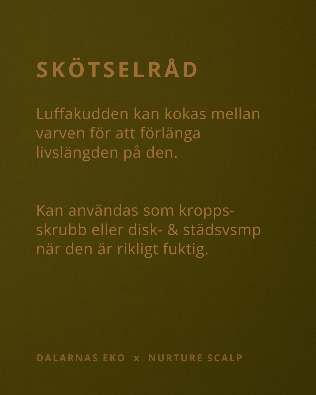 Luffakudde 1 cm - Naturens egna tvålfat till förvaringsdosa 150