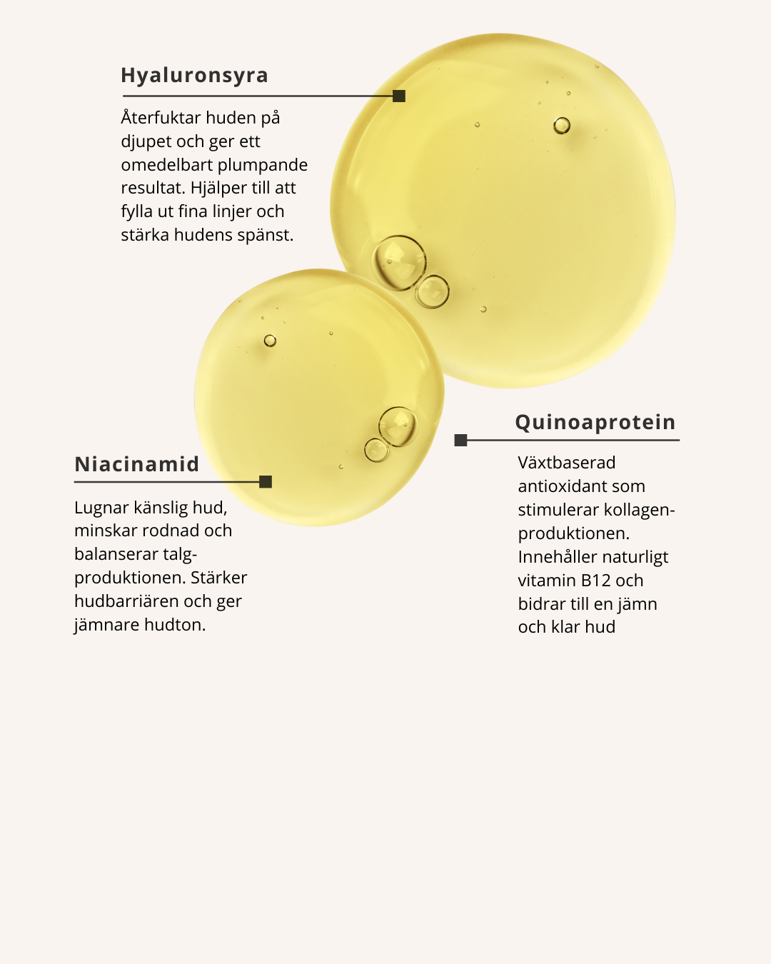 Hyaluronic Moisture+ Mist, återfuktande ansiktsmist med Hyaluronsyra & Niacinamid
