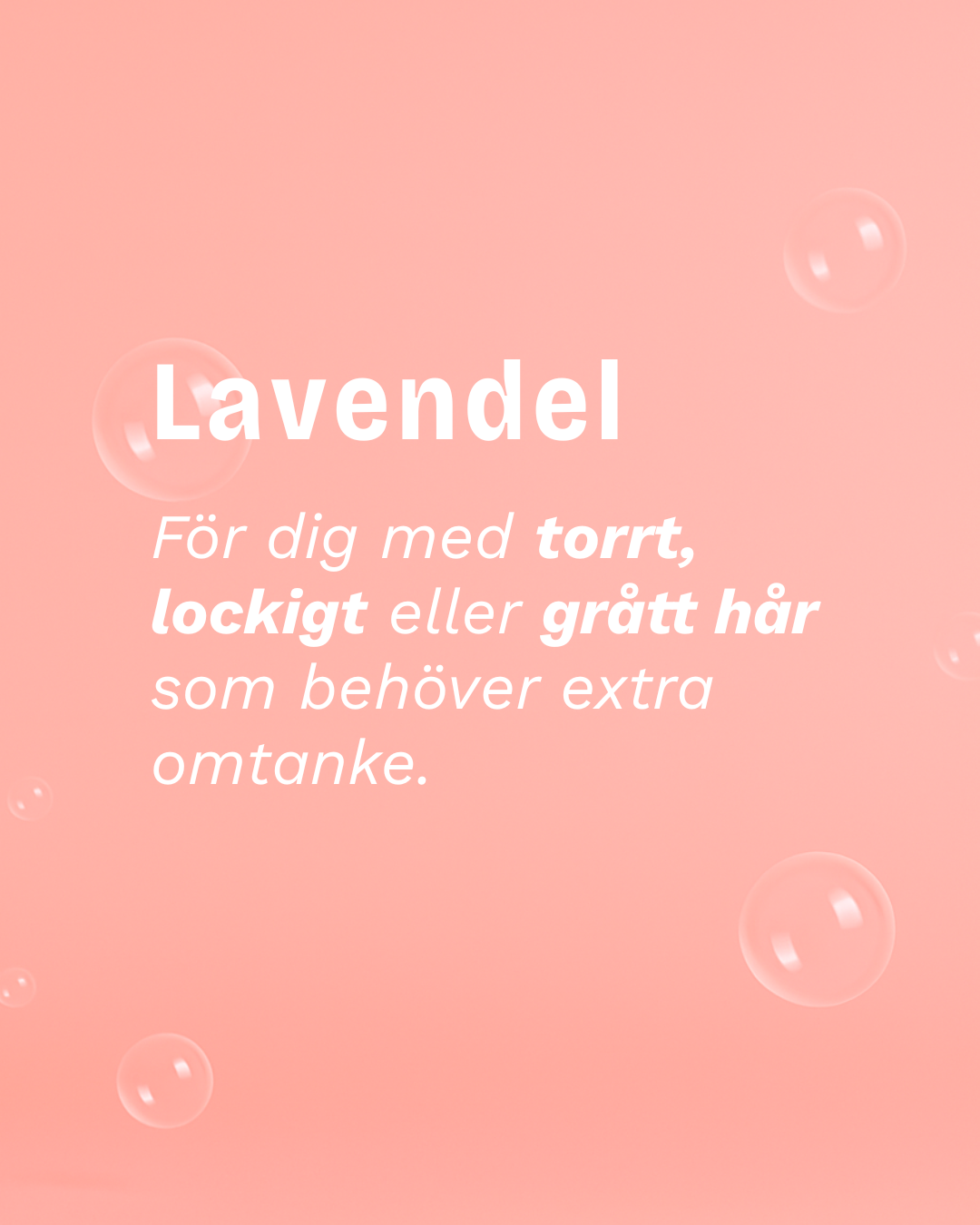 COLOR POP EDITION: Schampokaka Lavendel, Radical Moisture Sham