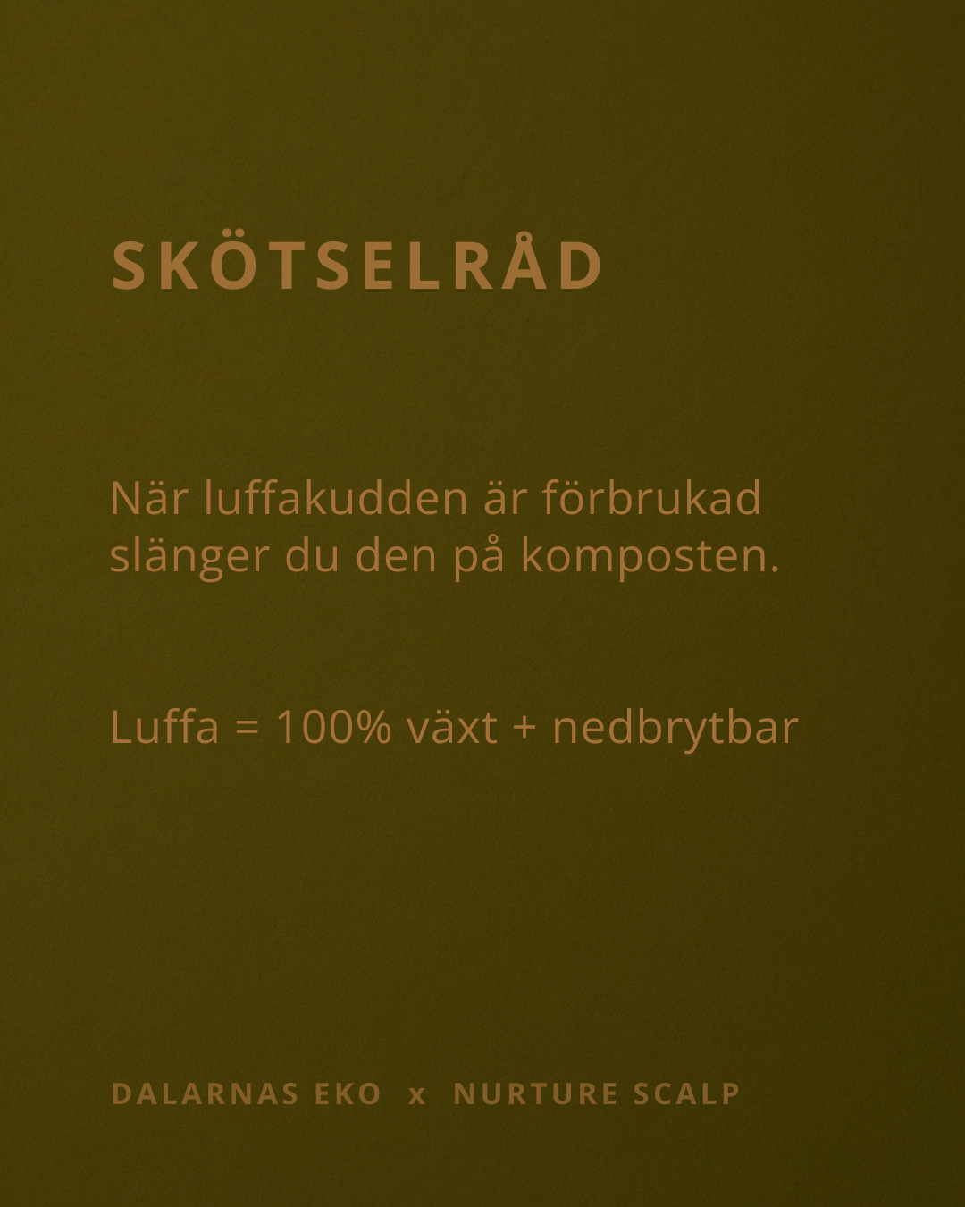 Luffakudde 1 cm - Naturens egna tvålfat till förvaringsdosa 150