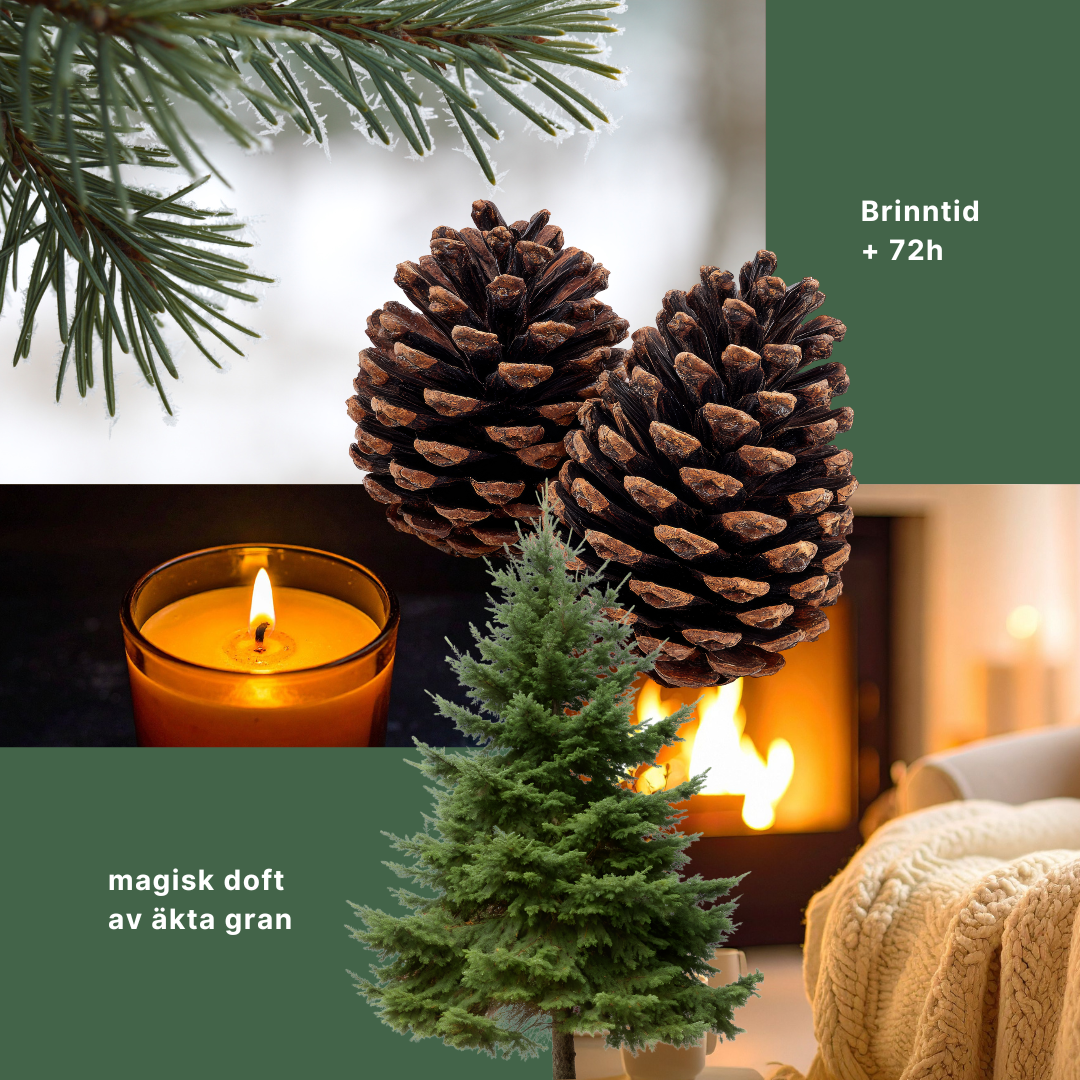 Nordic Pine – Doftljus av svenskt rapsvax