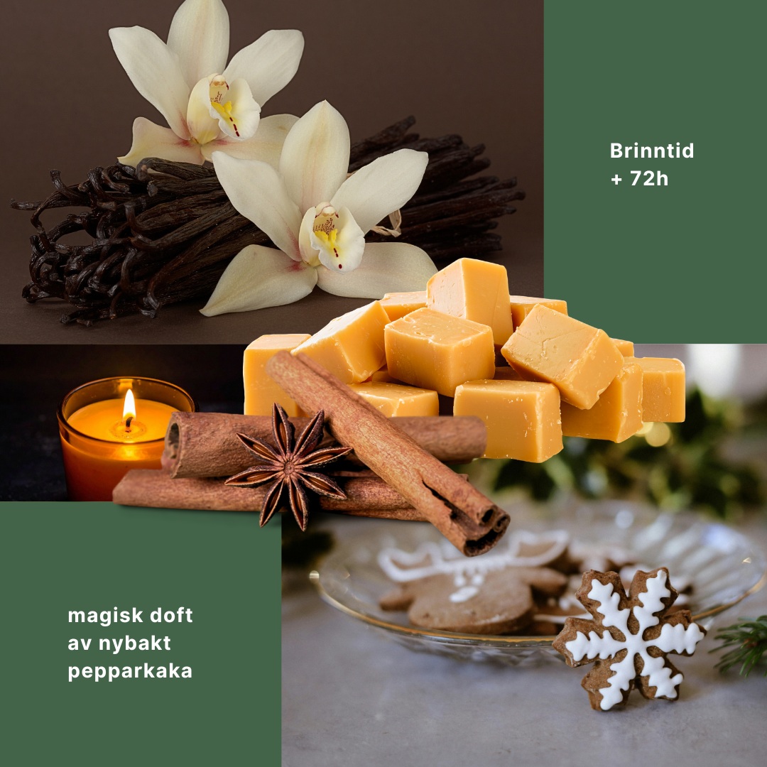 Gingerbread – Doftljus av svenskt rapsvax