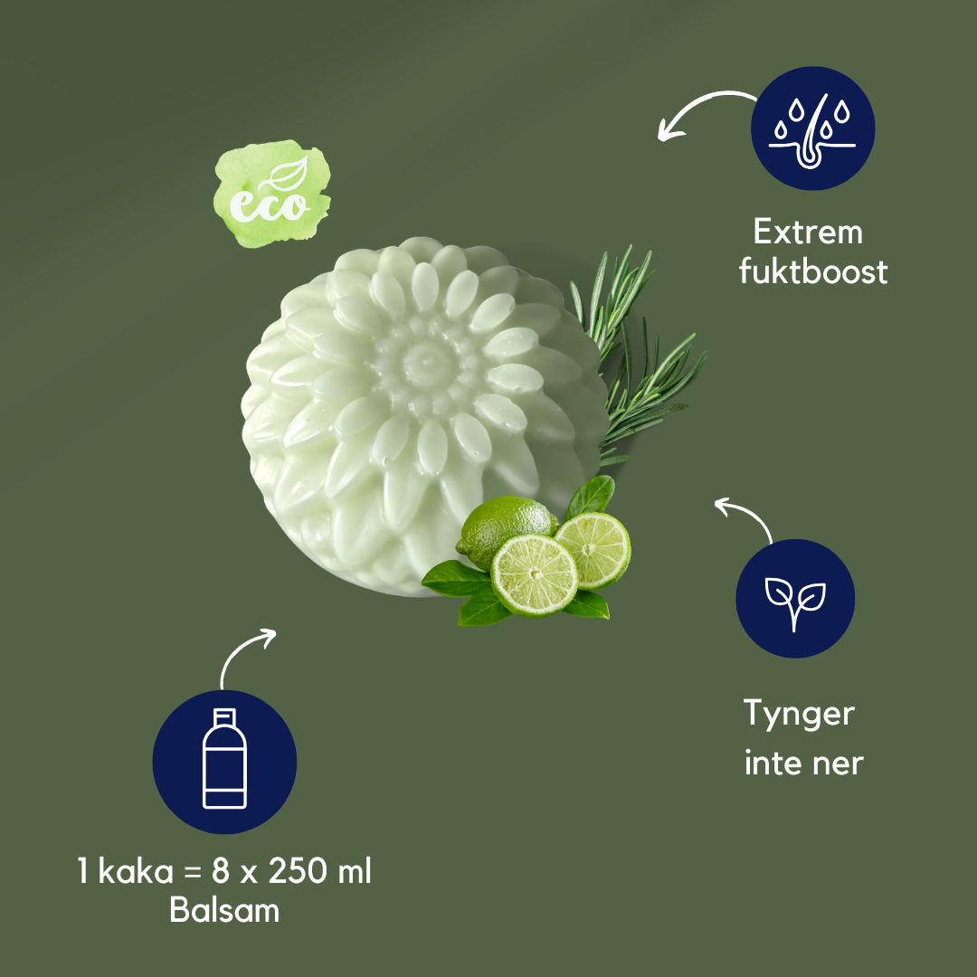 RÄDDA PRO Growth Conditioner COLOR POP