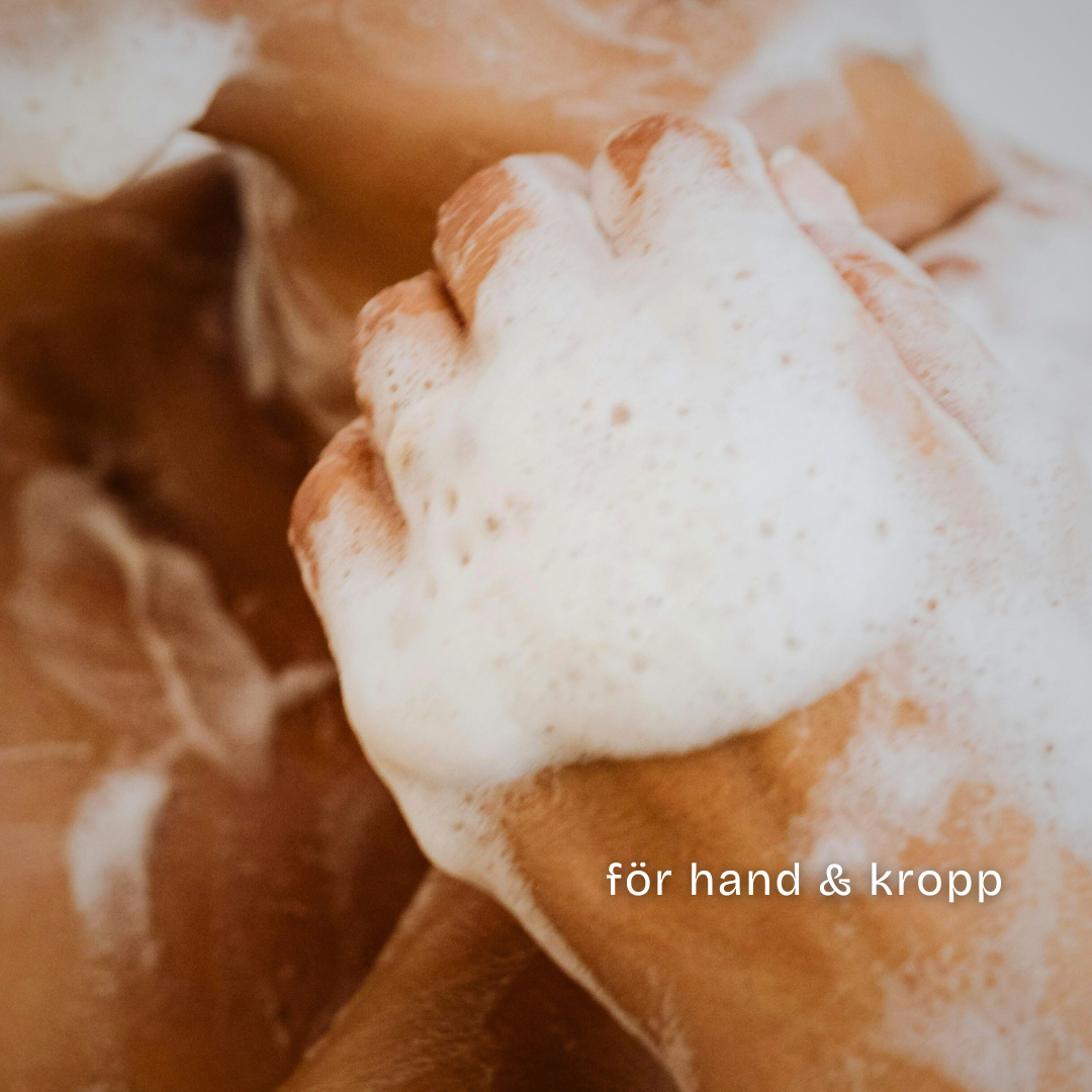 Gingerbread Hand & Body Wash