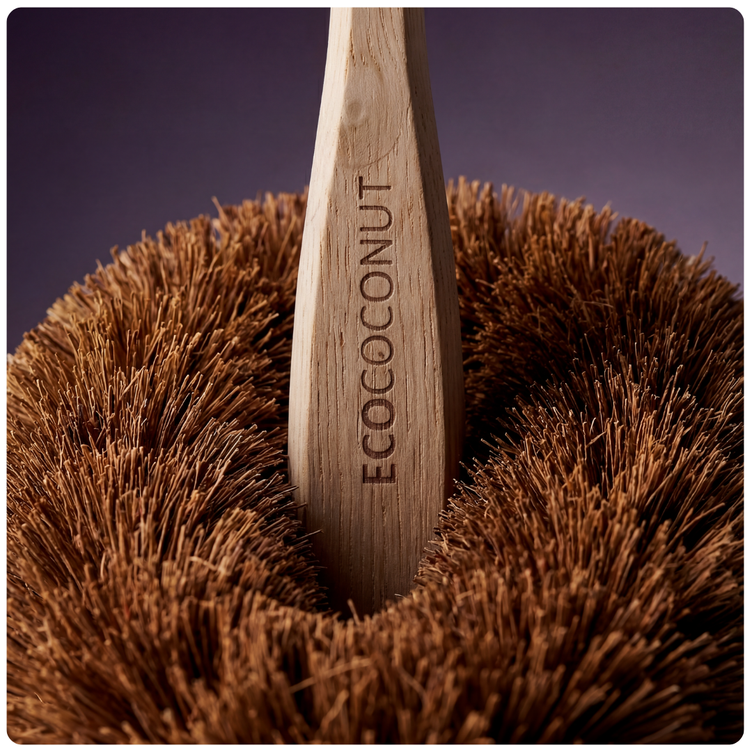 EcoCoconut - Diskborste i Kokosnötsfiber och Trä