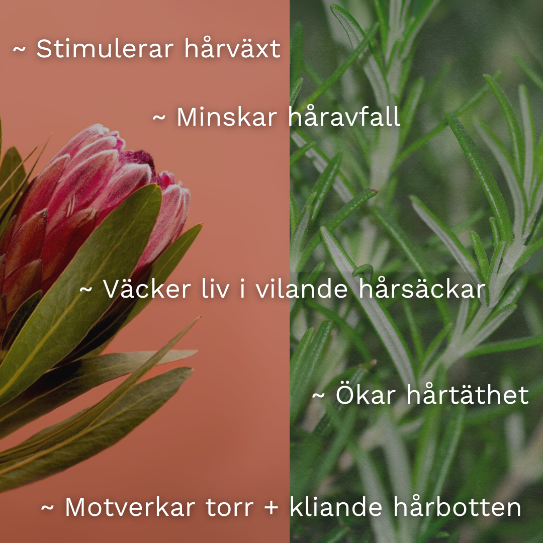 Växa-mist: THAT EXTRA GROWTH Rosemary LEAVE-IN Conditioner & Scalp Care för att boosta hårväxt