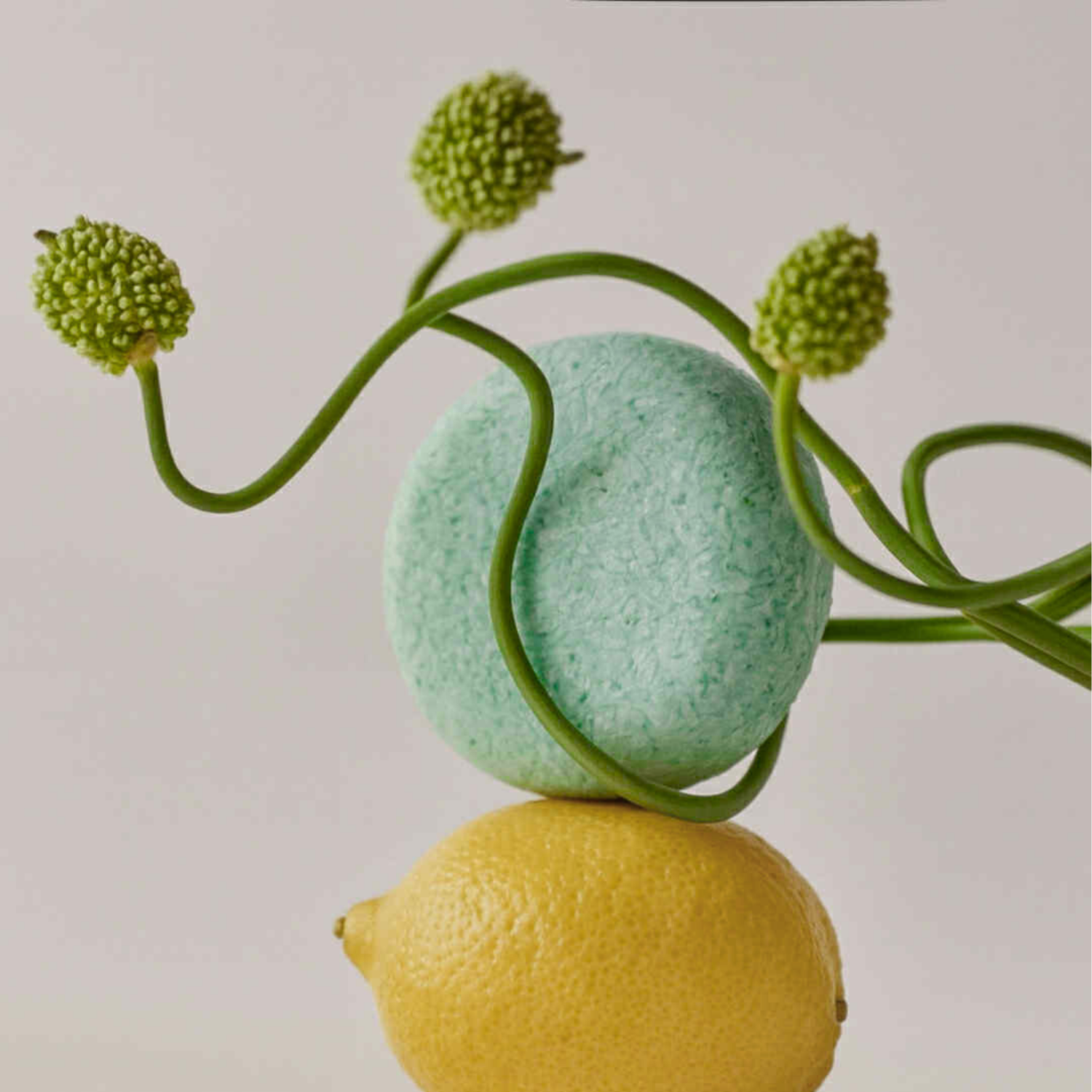 Växa-schampo Dalarnas EKO