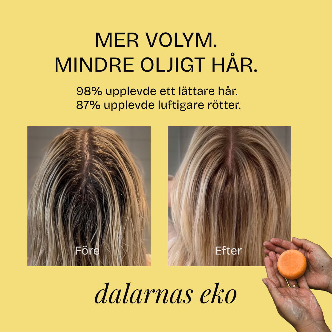 Sommar Schampokaka