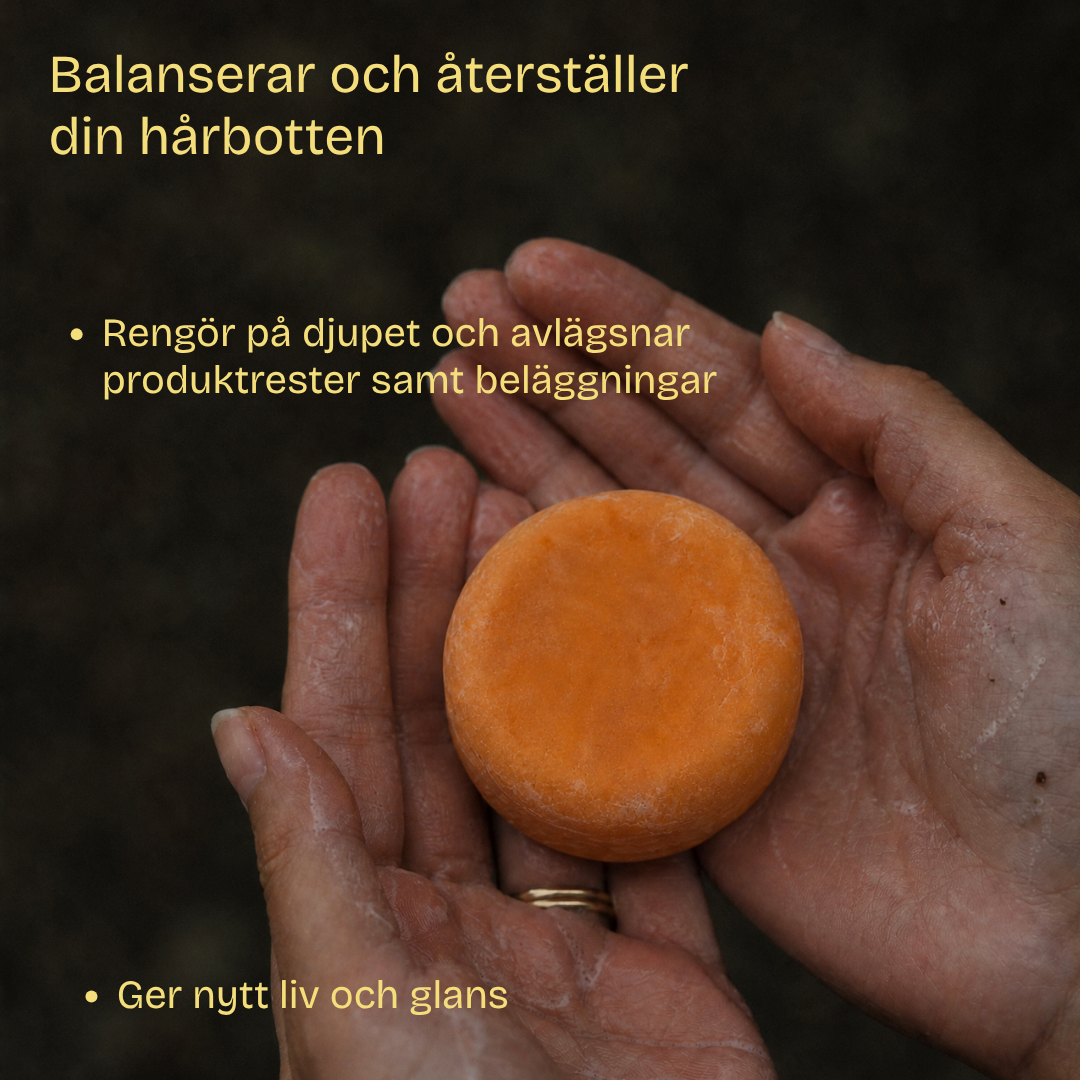 Sommar Schampokaka