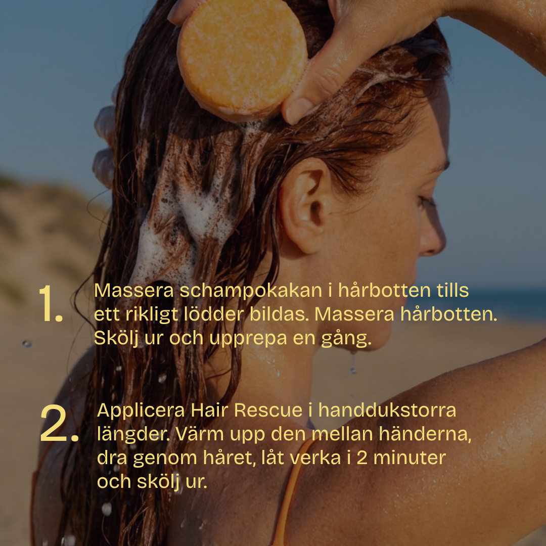 Sommar Schampokaka